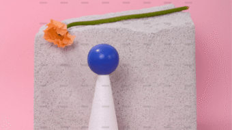 demo-attachment-198-pexels-daria-liudnaya-7354801